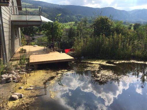 Terrasse en bois massif