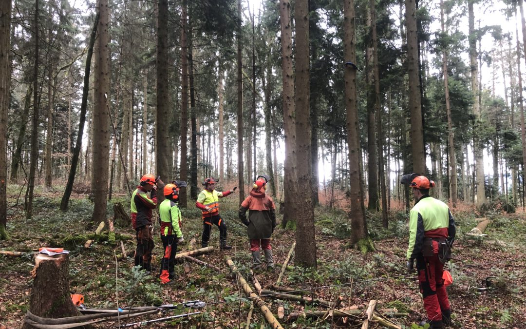 Formation de base sur la récolte du bois