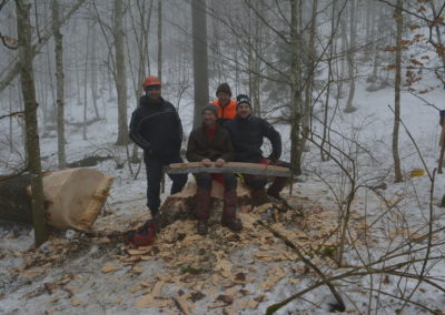Abattage à l’ancienne aux Savagnières BE